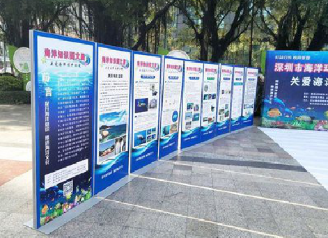 宜君KT板的种类和知识。